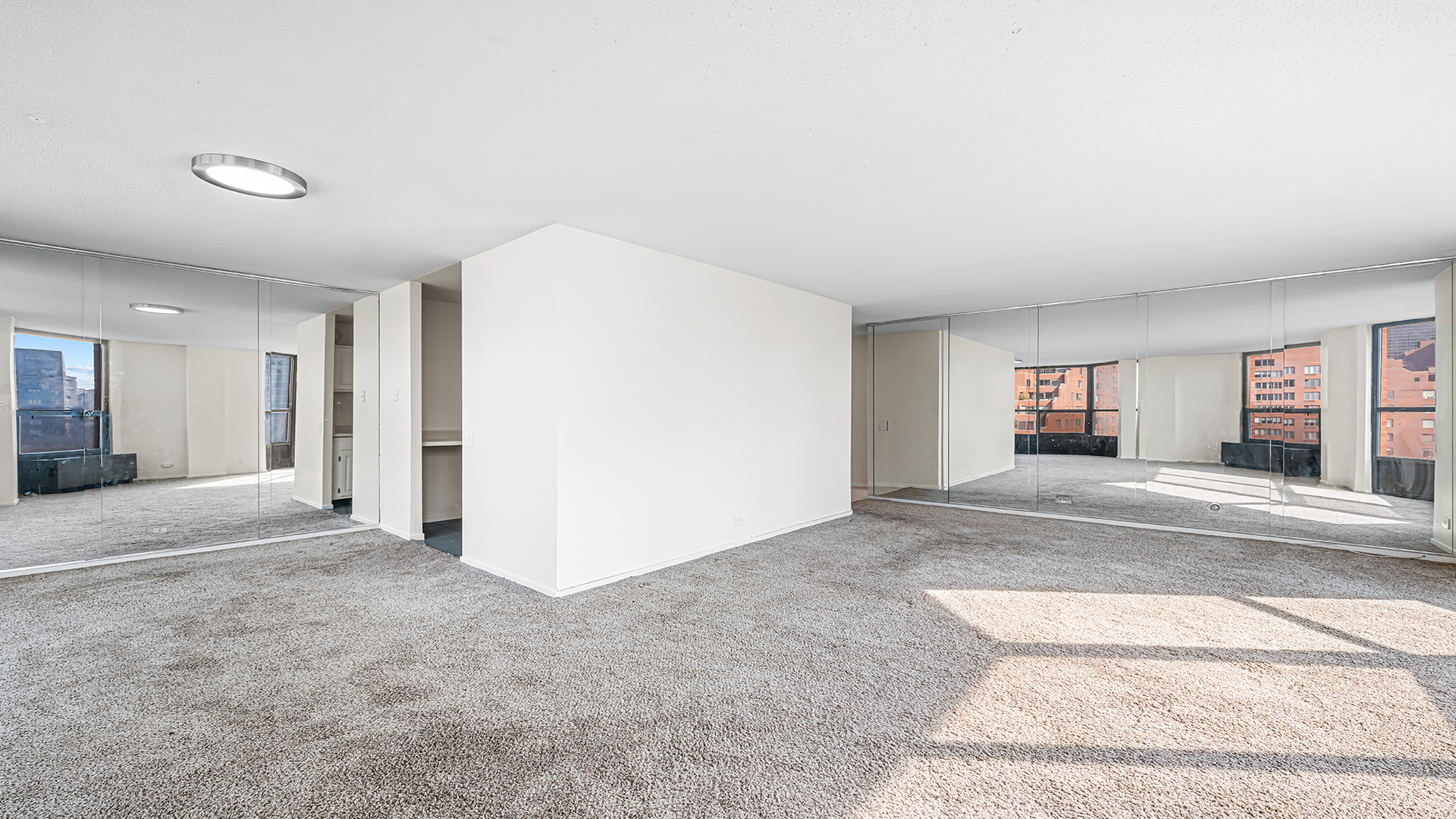 899 S Plymouth Court Unit: 503