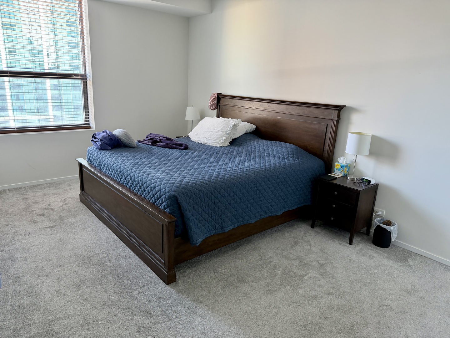 910 S Michigan Avenue Unit: 1705
