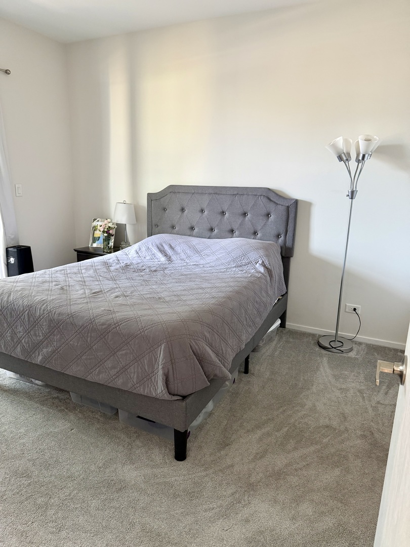 910 S Michigan Avenue Unit: 1705