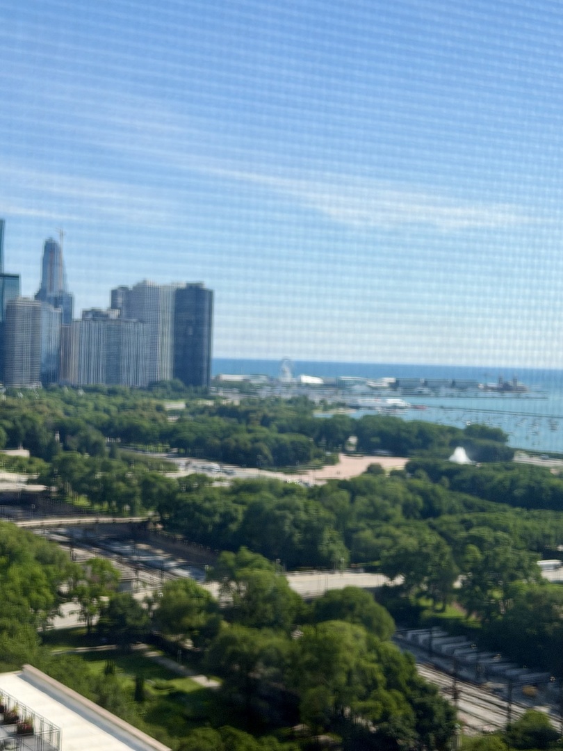 910 S Michigan Avenue Unit: 1705