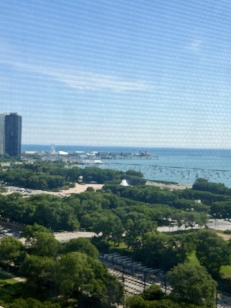 910 S Michigan Avenue Unit: 1705
