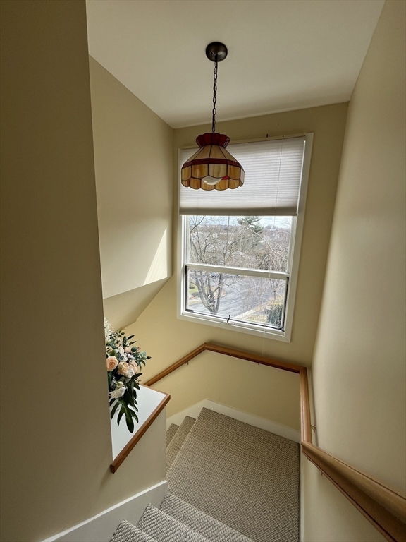 99 Louise Rd