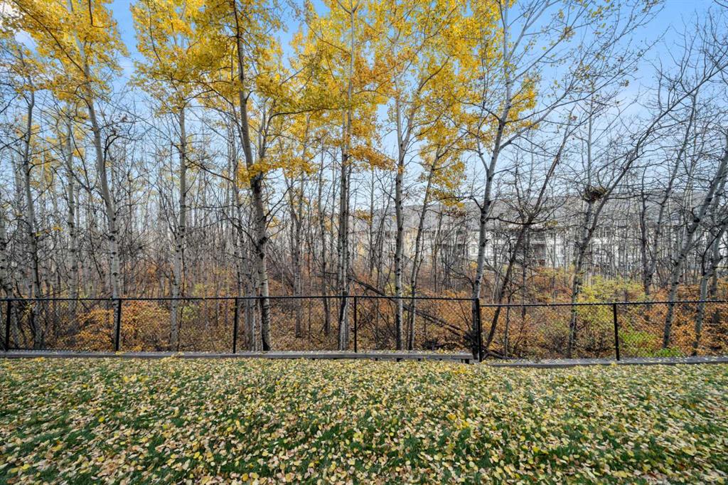 211 Aspen Stone Boulevard SW Unit: 1111