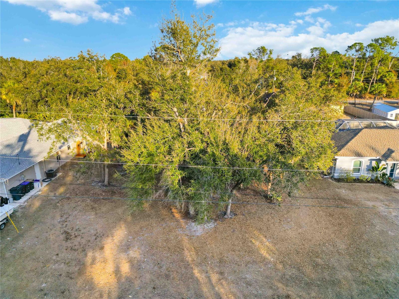 Lot 26 HOLLAND ST