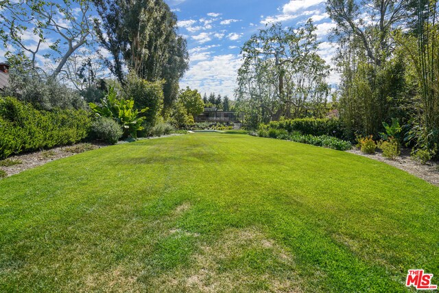 6254 Busch Dr