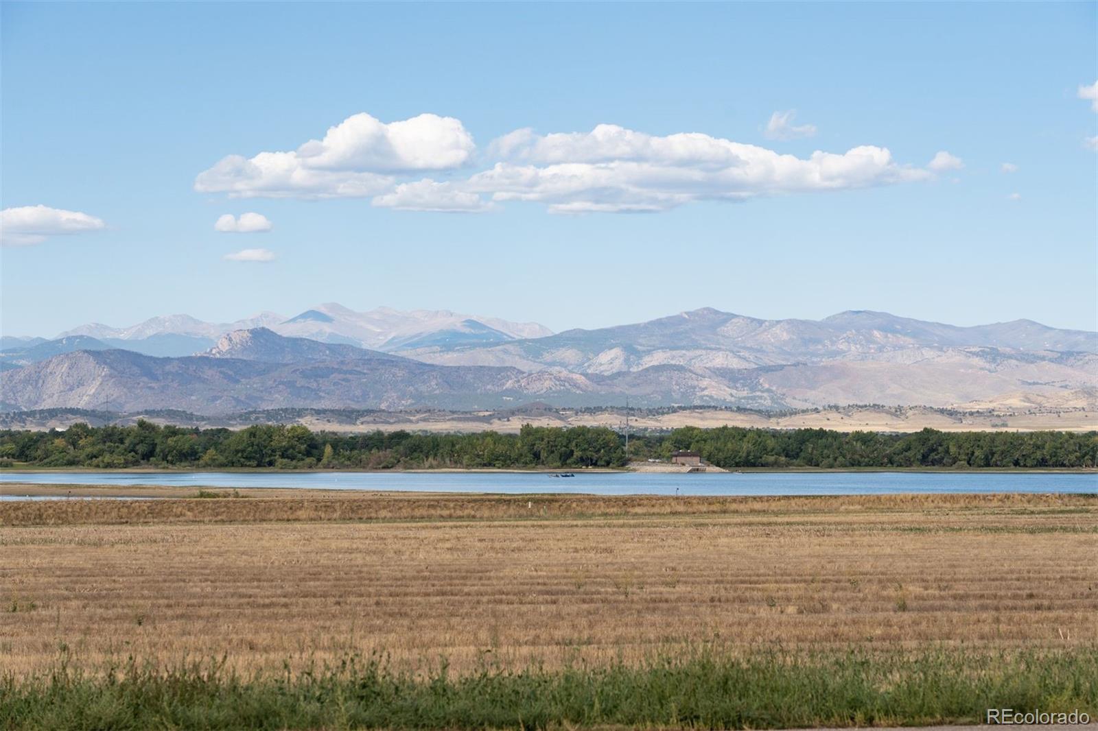 4142 Saltbrush Court