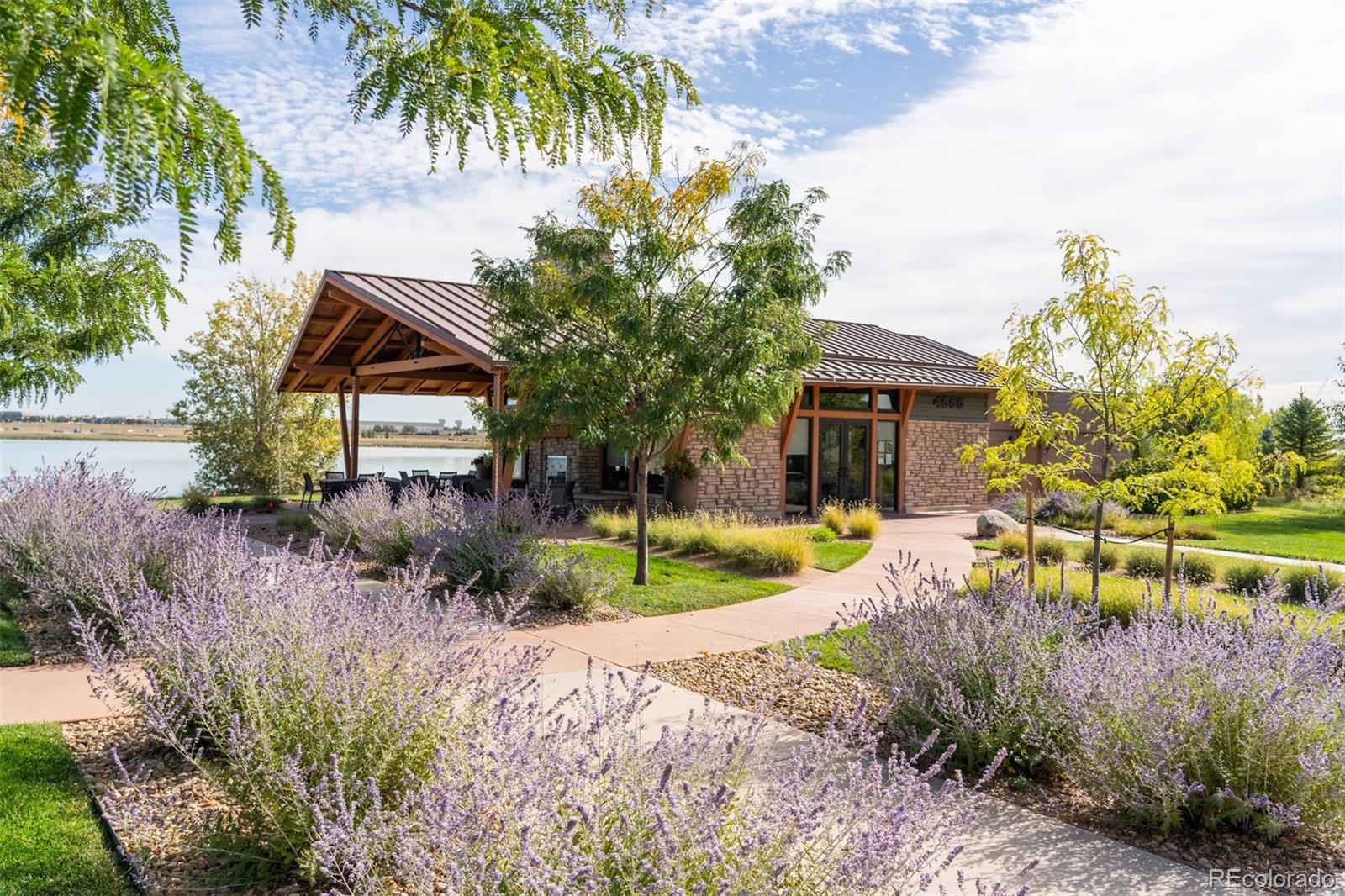 4142 Saltbrush Court