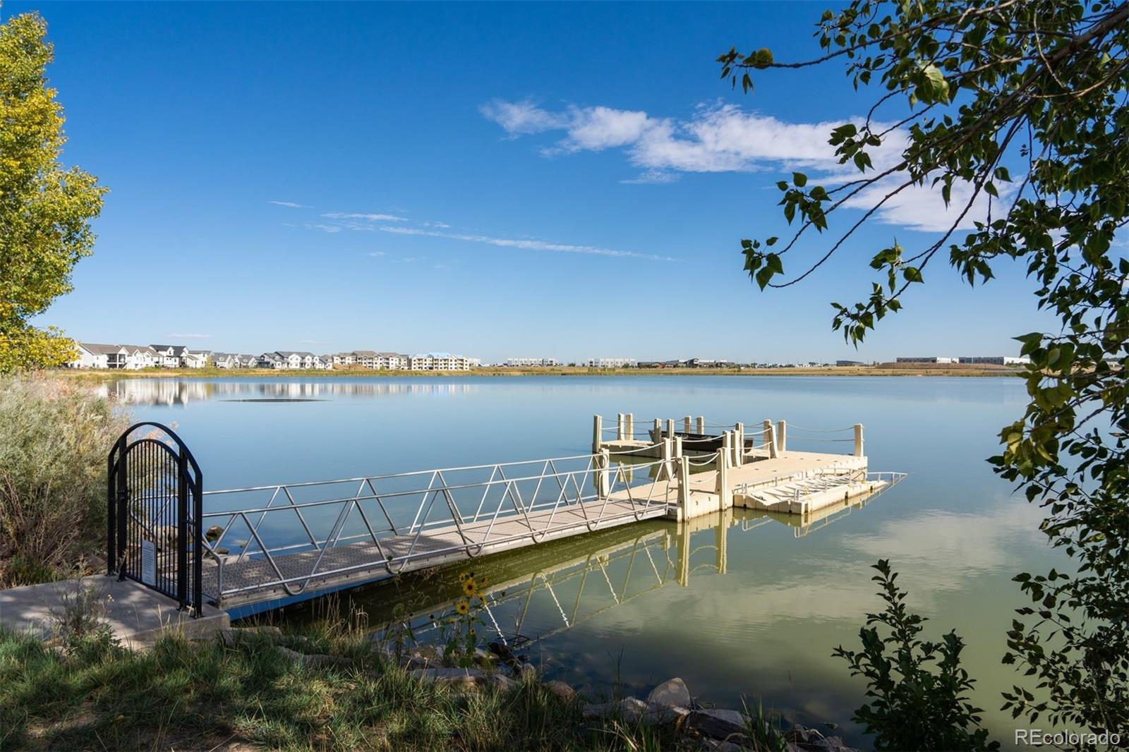 4142 Saltbrush Court