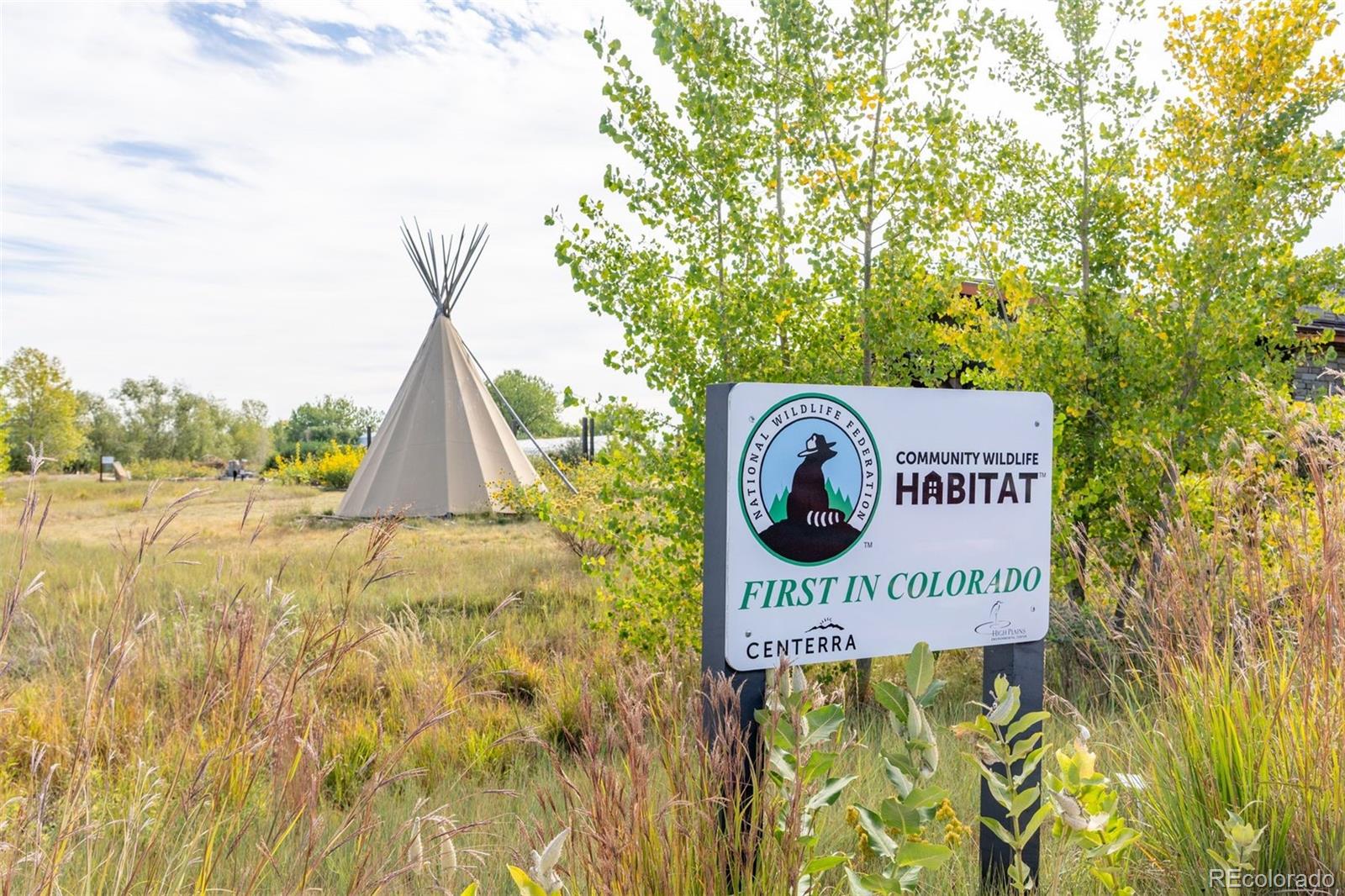 4142 Saltbrush Court