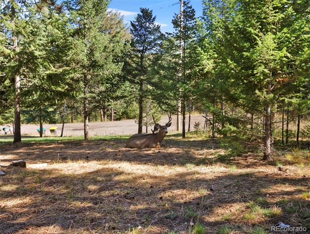 6573 Iroquois Trail