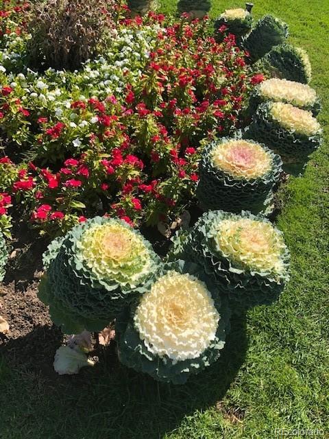 9340 E Center Avenue Unit: 12C