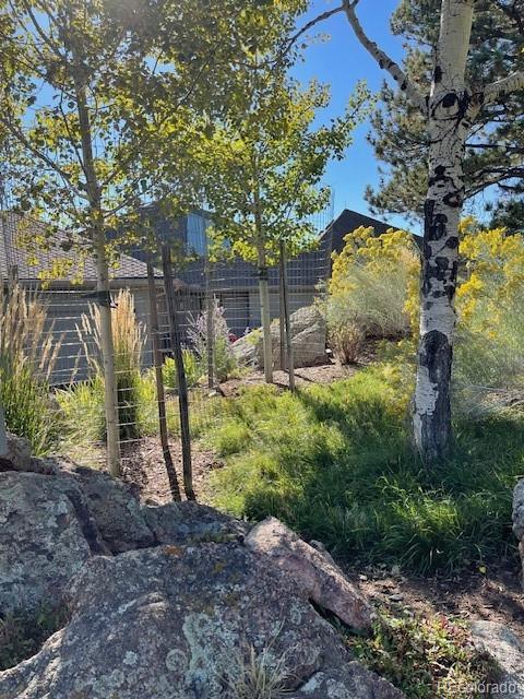 25060 Montane Drive West