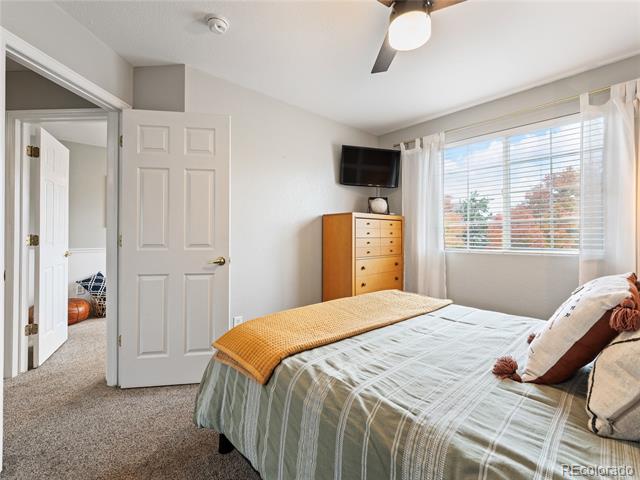 5360 Rhyolite Way
