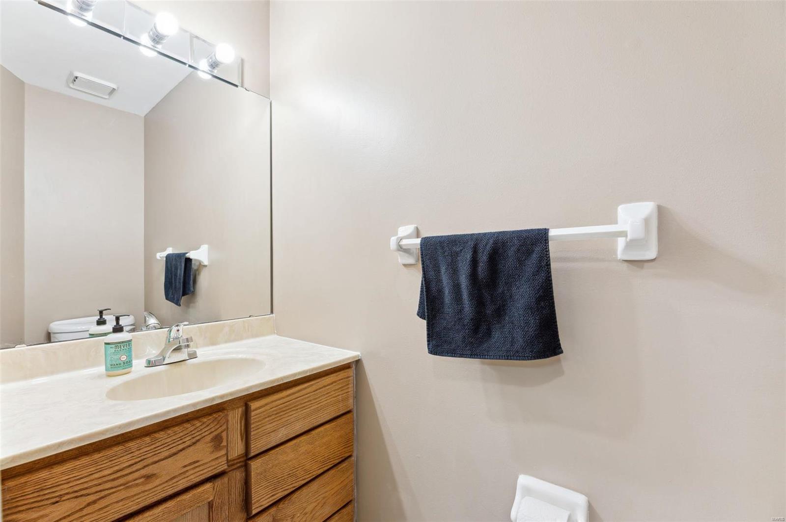 16513 Carriage View Ct