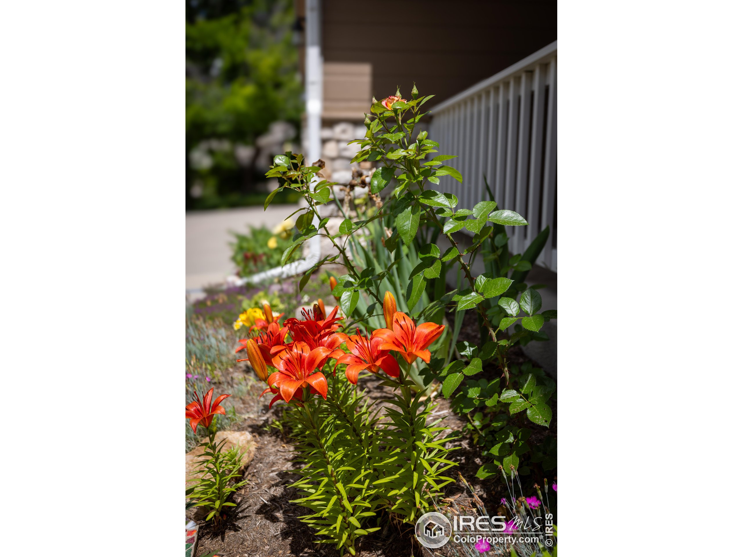 4244 Rolling Gate Rd