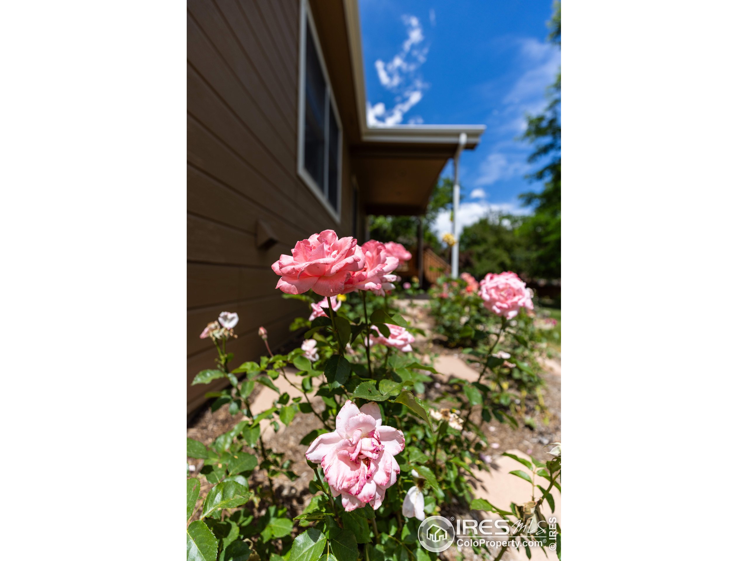 4244 Rolling Gate Rd