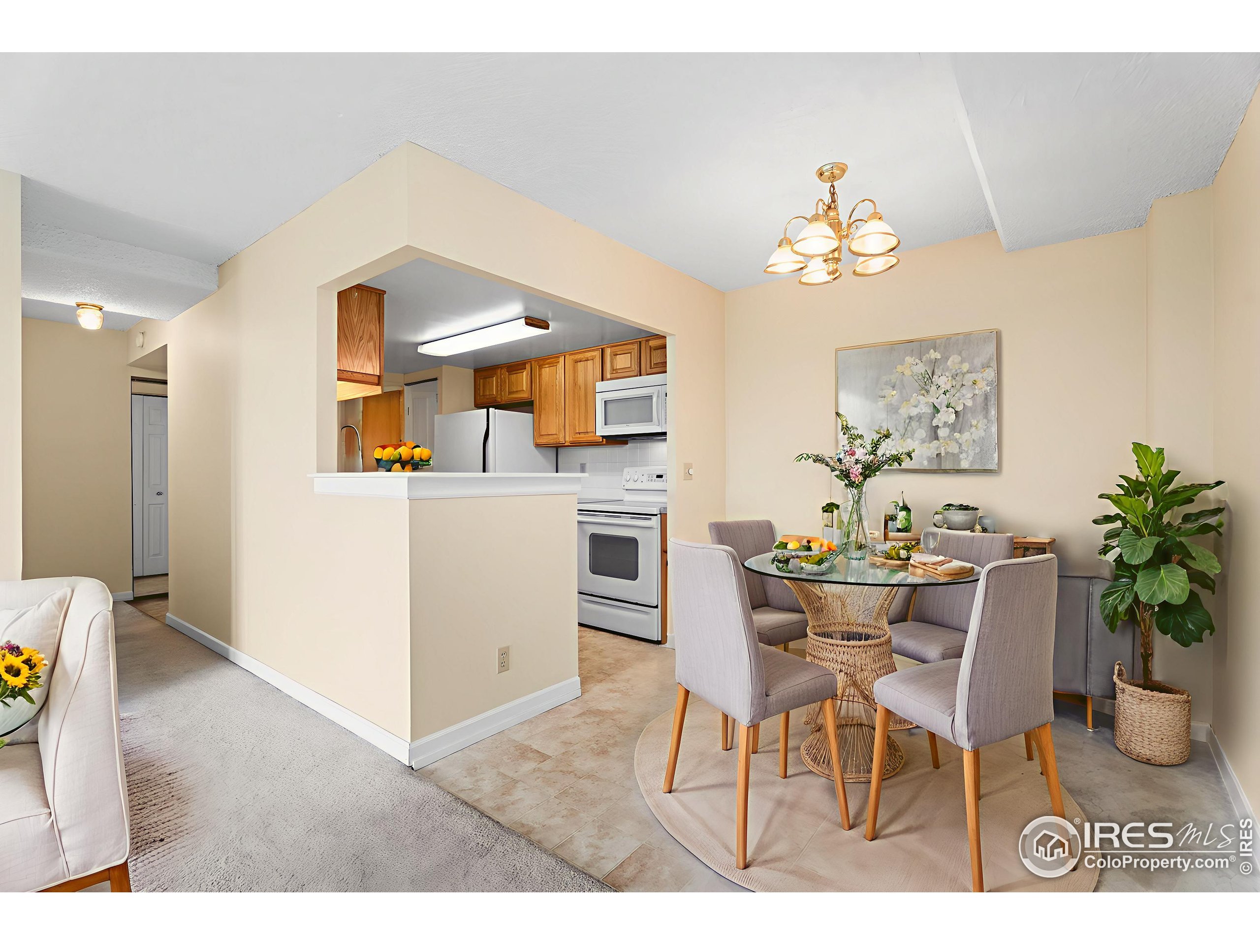421 S Howes St 401