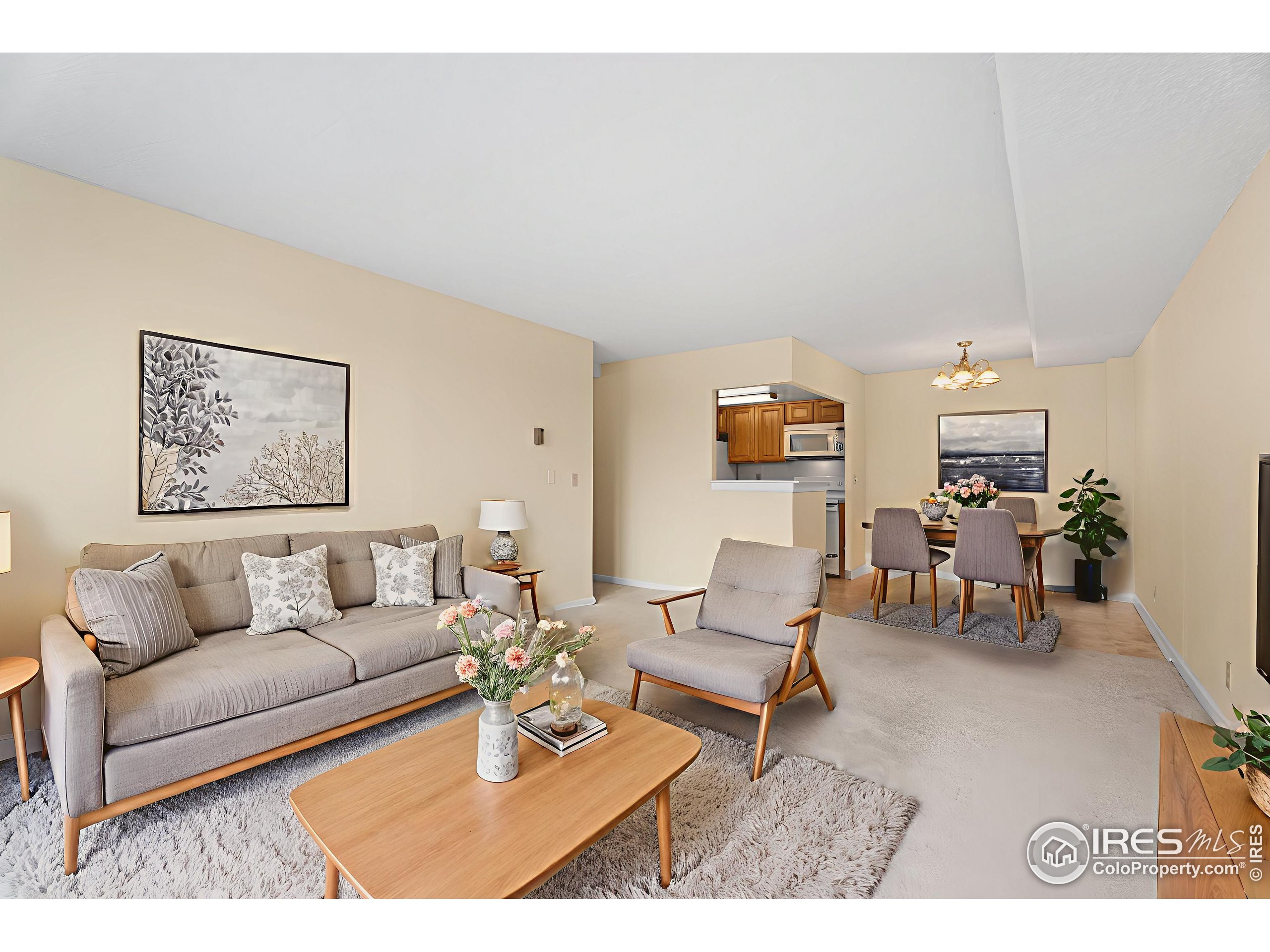 421 S Howes St 401