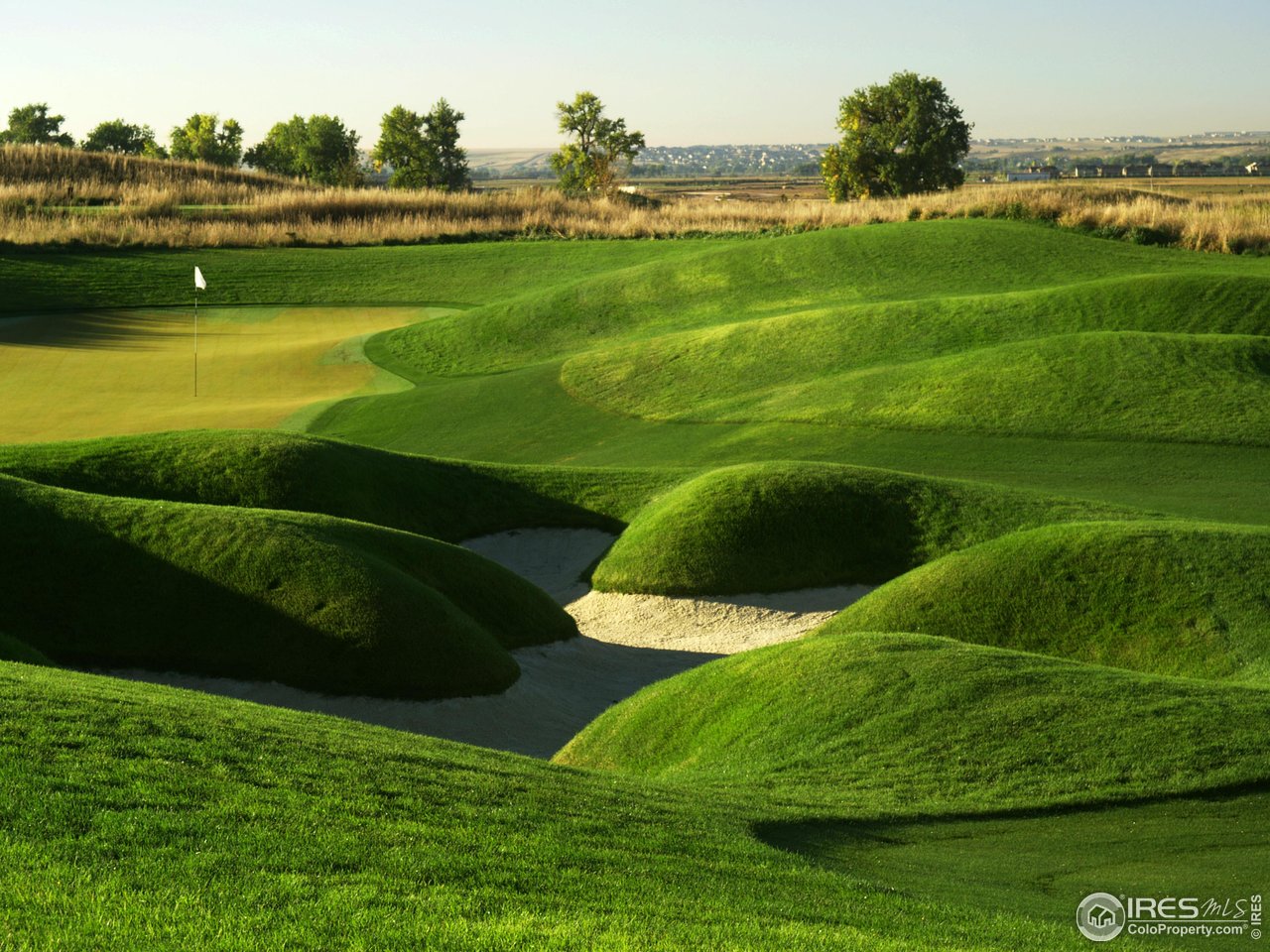 6739 Morning Song Ct