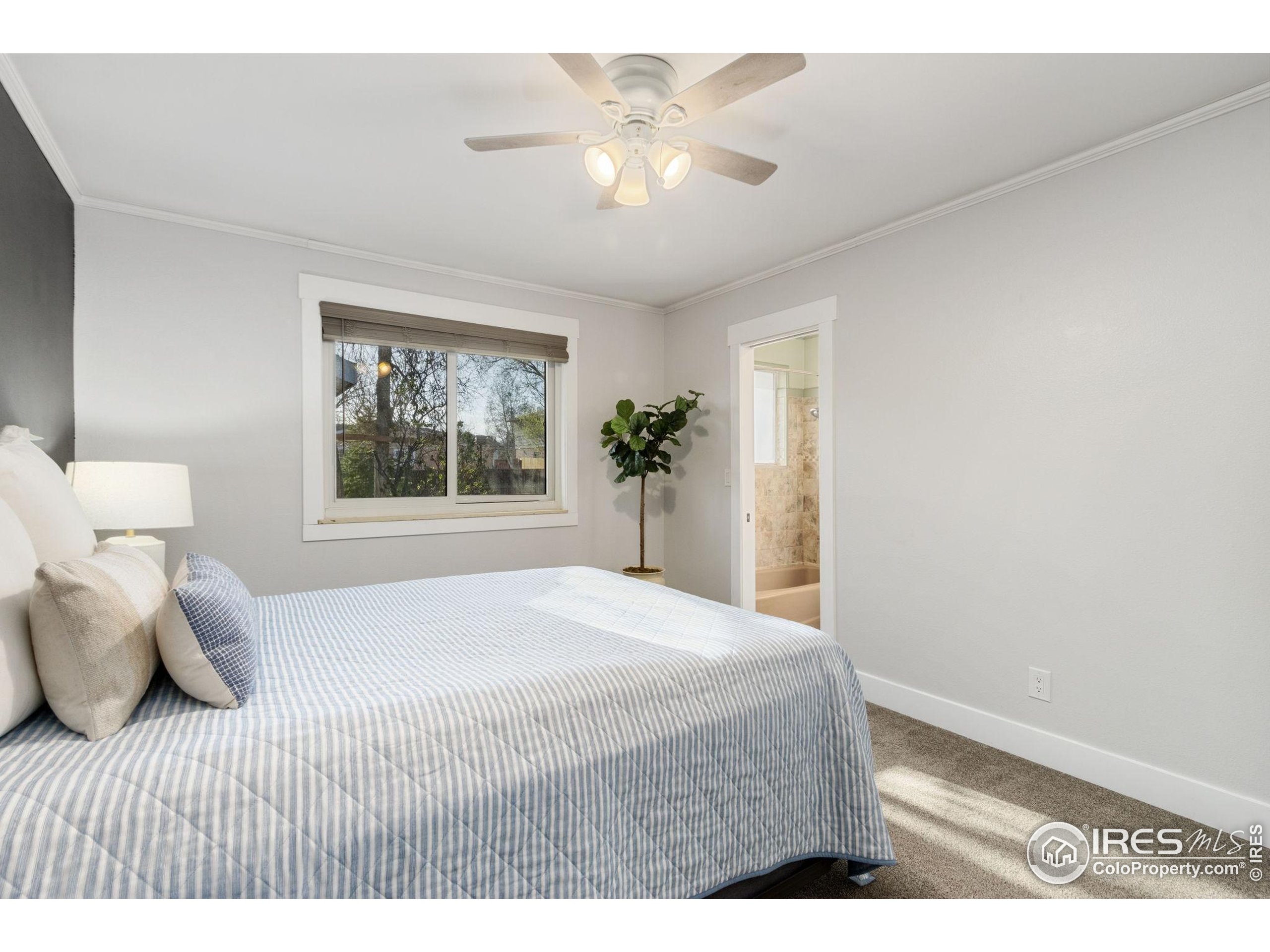 2139 Donna Ct