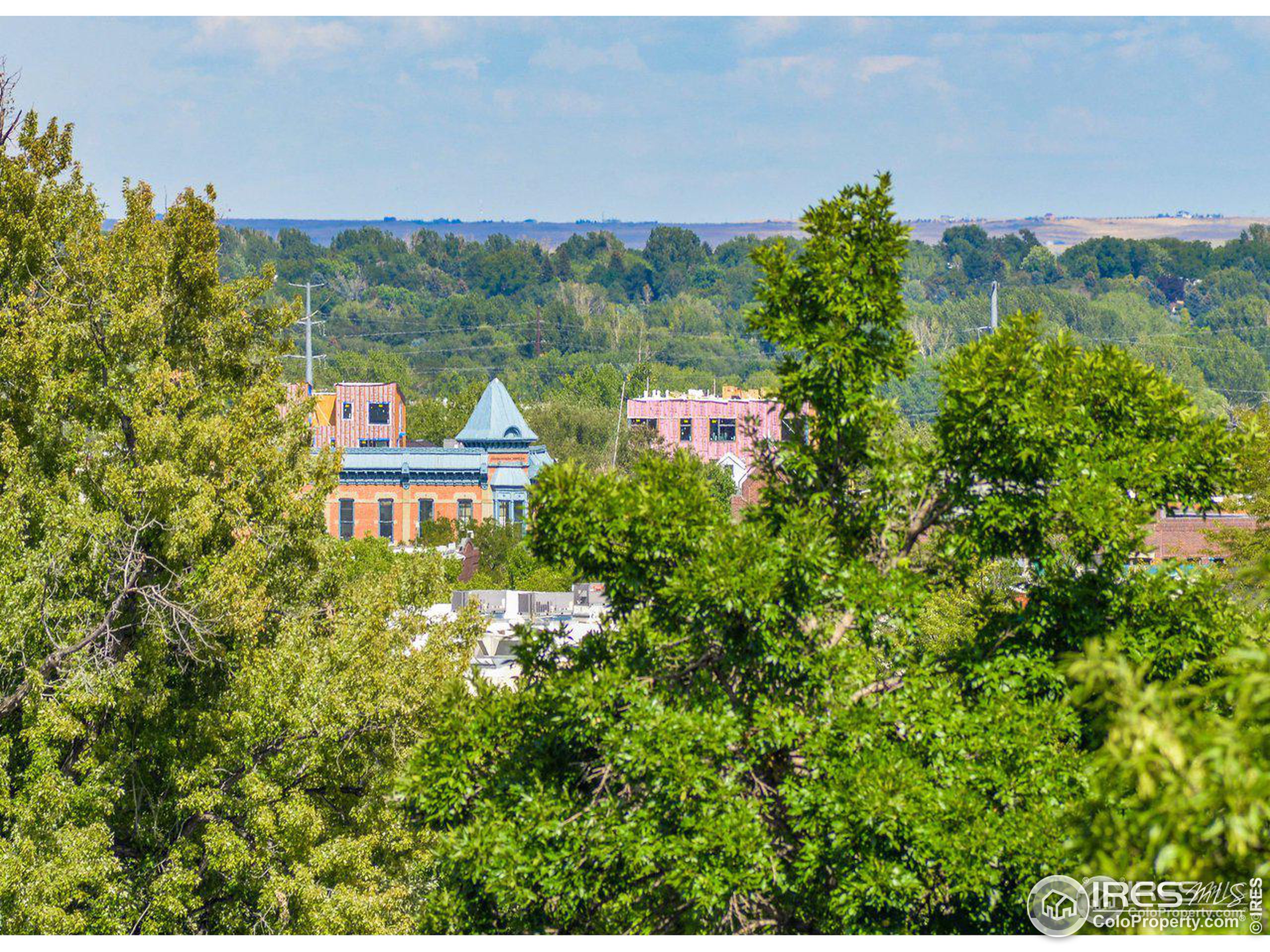 415 S Howes St Unit: 703