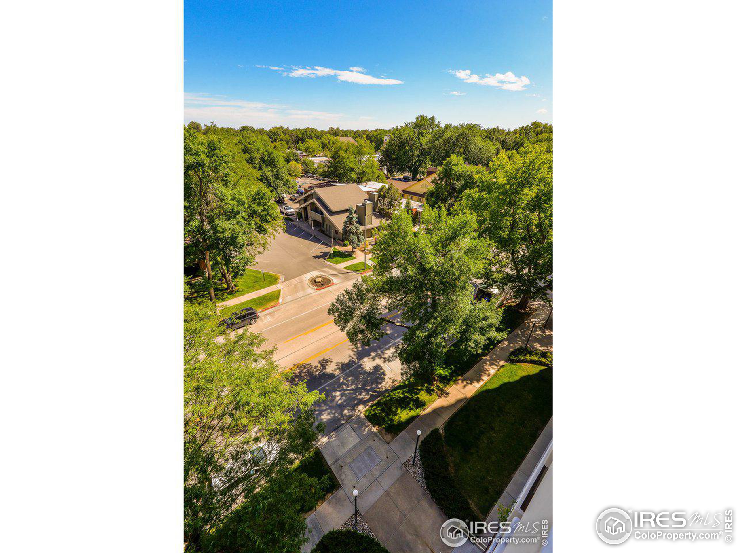 415 S Howes St Unit: 703