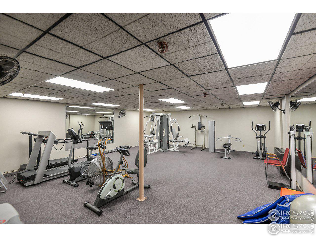 415 S Howes St Unit: 703