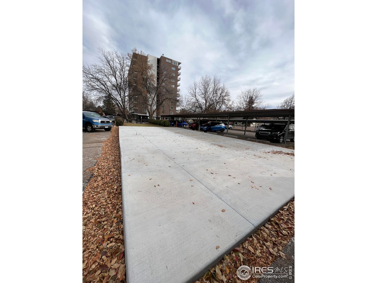 415 S Howes St Unit: 703