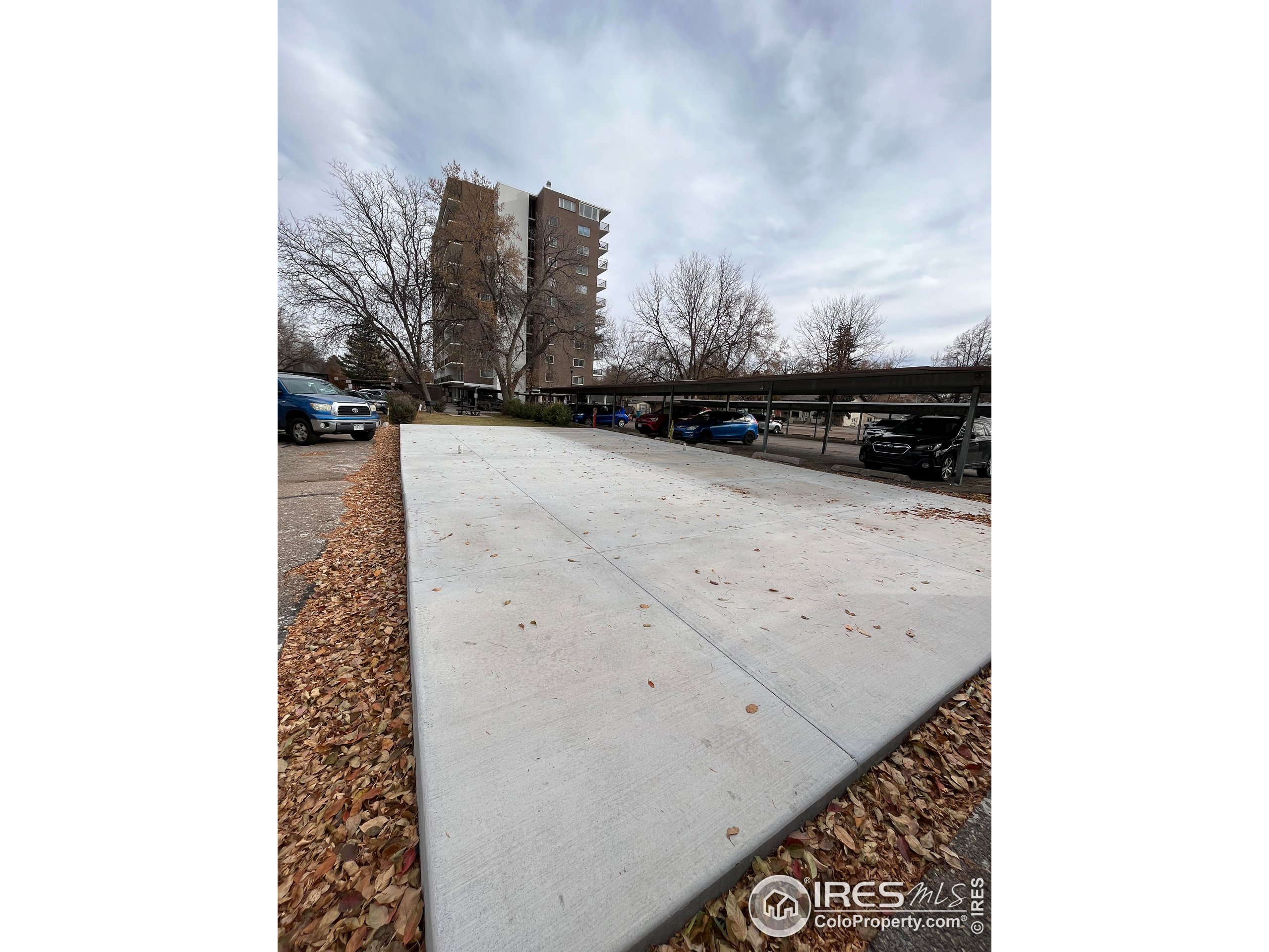 415 S Howes St Unit: 703