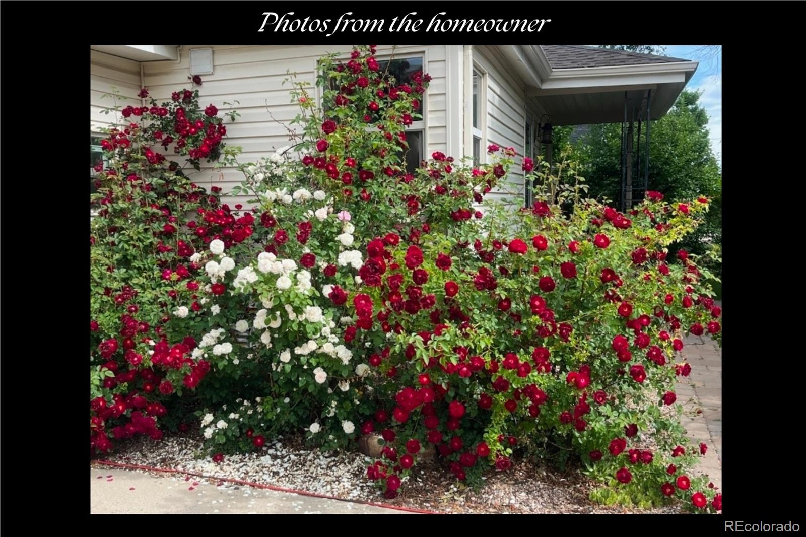 5611 S Hickory Street