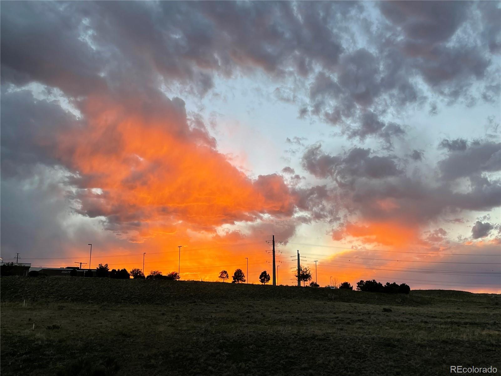 6425 S Harvest Street