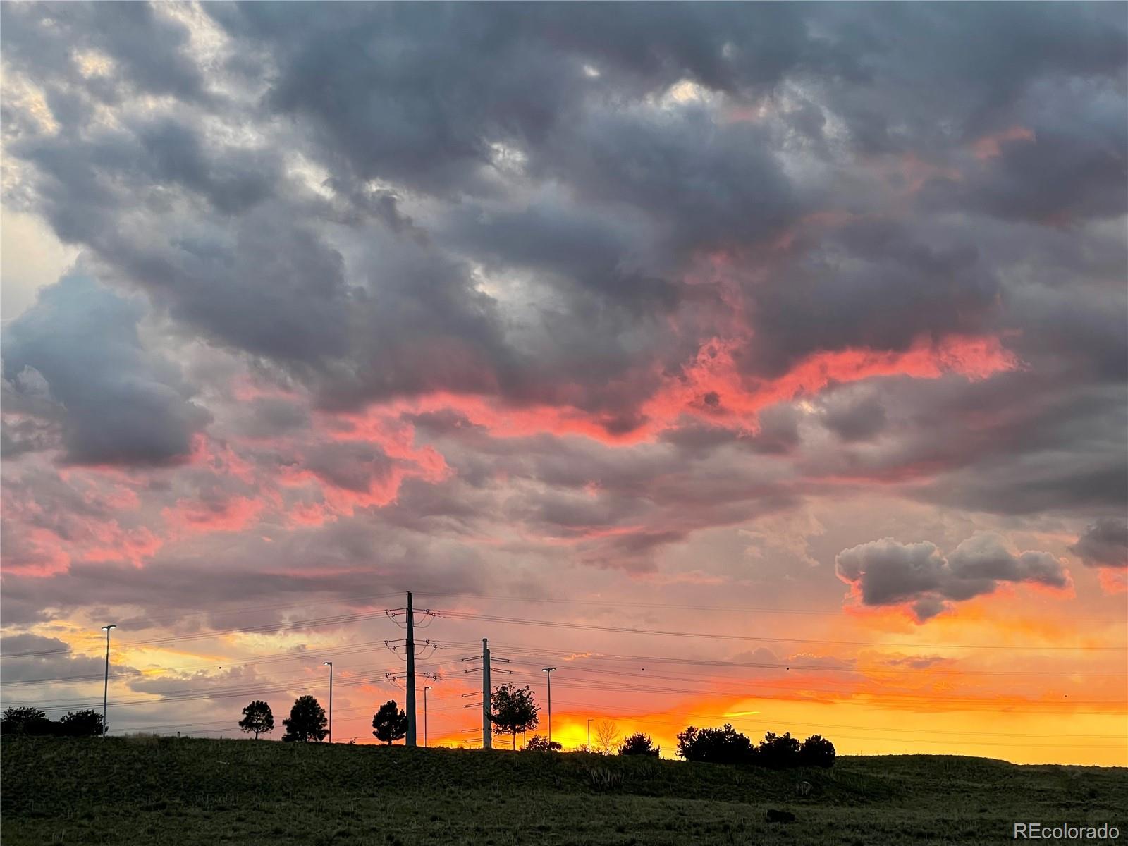 6425 S Harvest Street