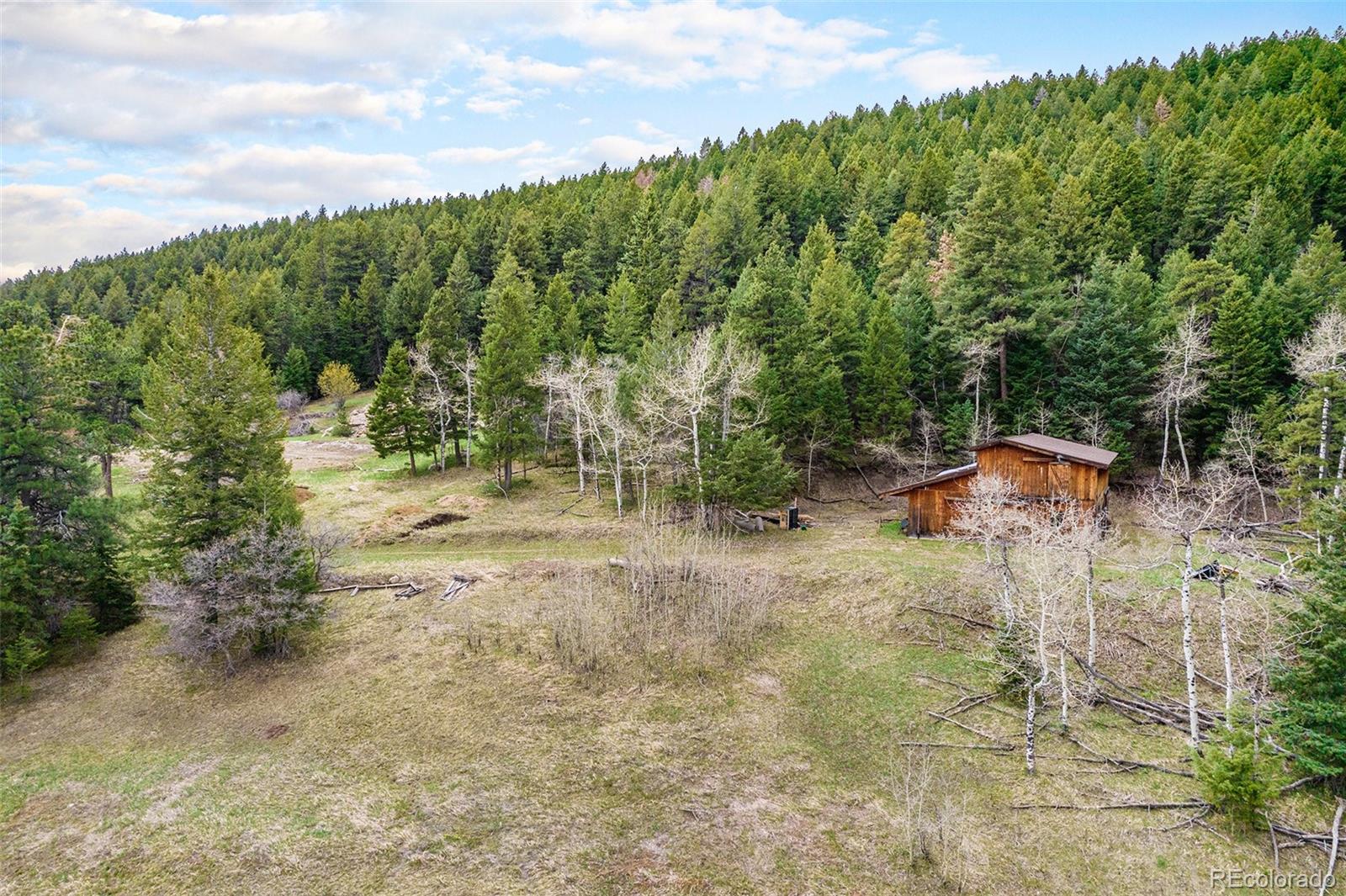 43 W Ranch Trail