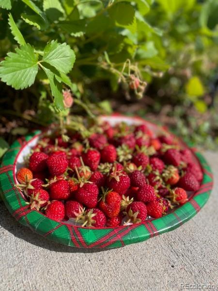 5979 S Fairplay Street