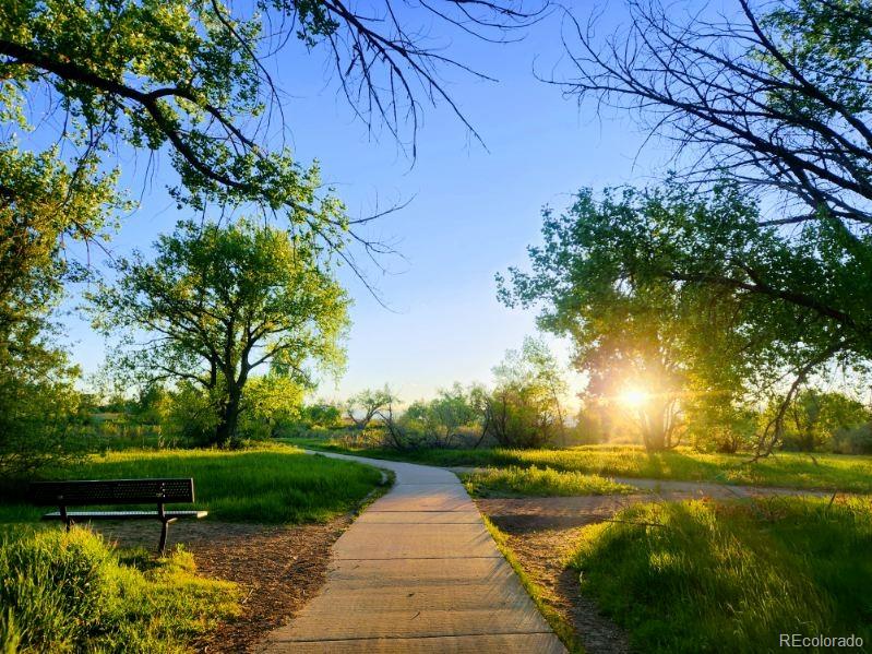 5979 S Fairplay Street