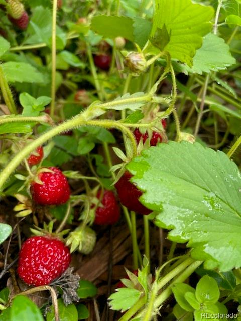 5979 S Fairplay Street