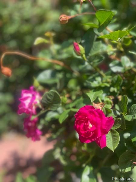 5979 S Fairplay Street