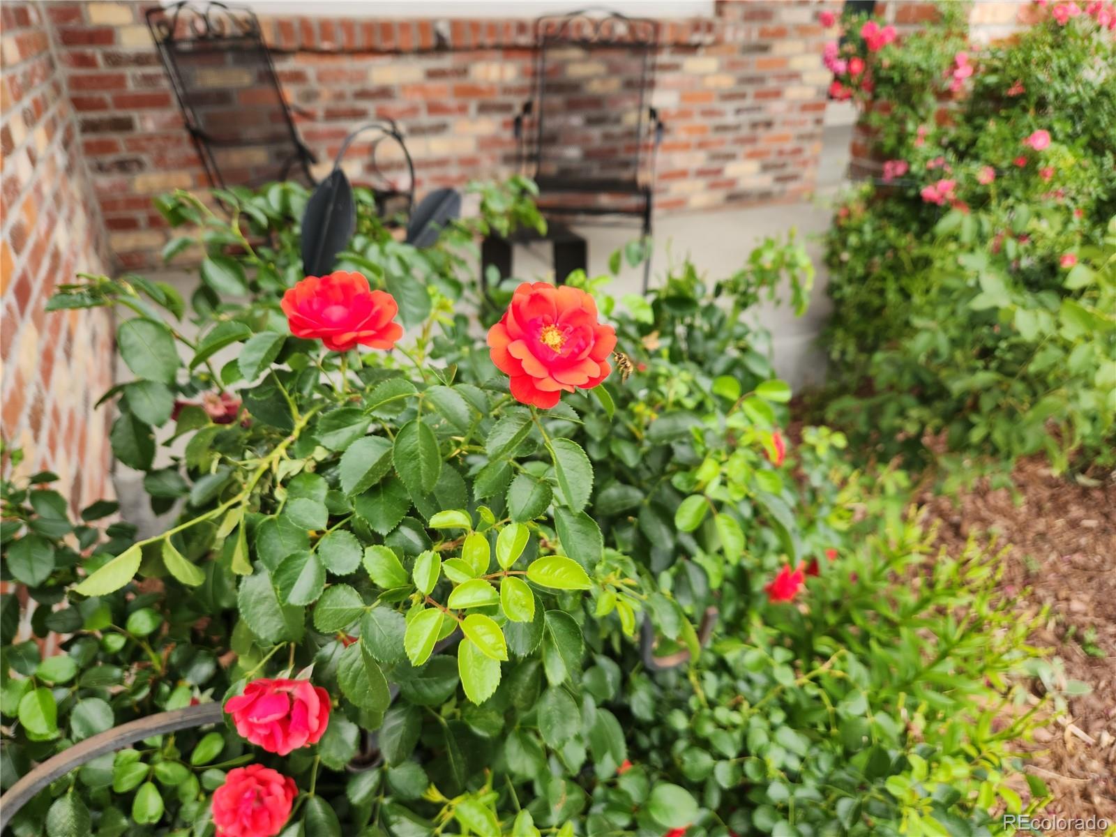 5979 S Fairplay Street