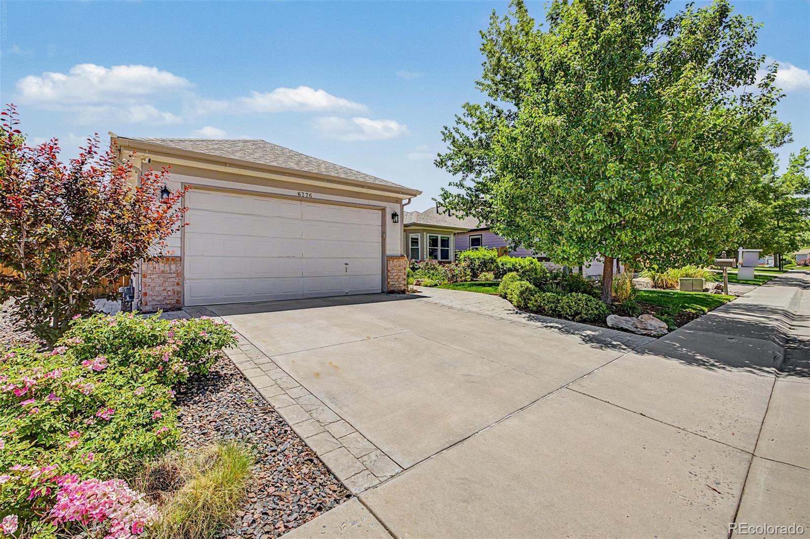6776 Salvia Court