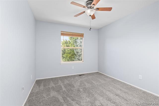 3931 Shane Valley Trail