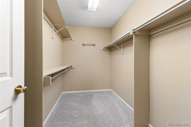 3931 Shane Valley Trail