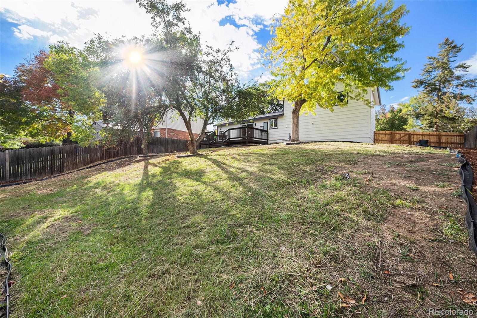 11084 Newland Street