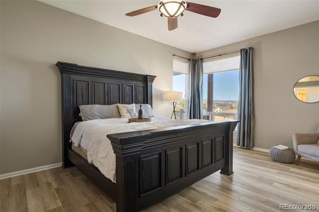 3895 Black Feather Trail