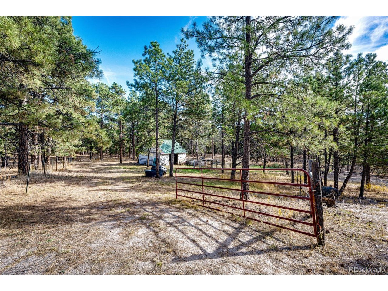 6412 County Road 82
