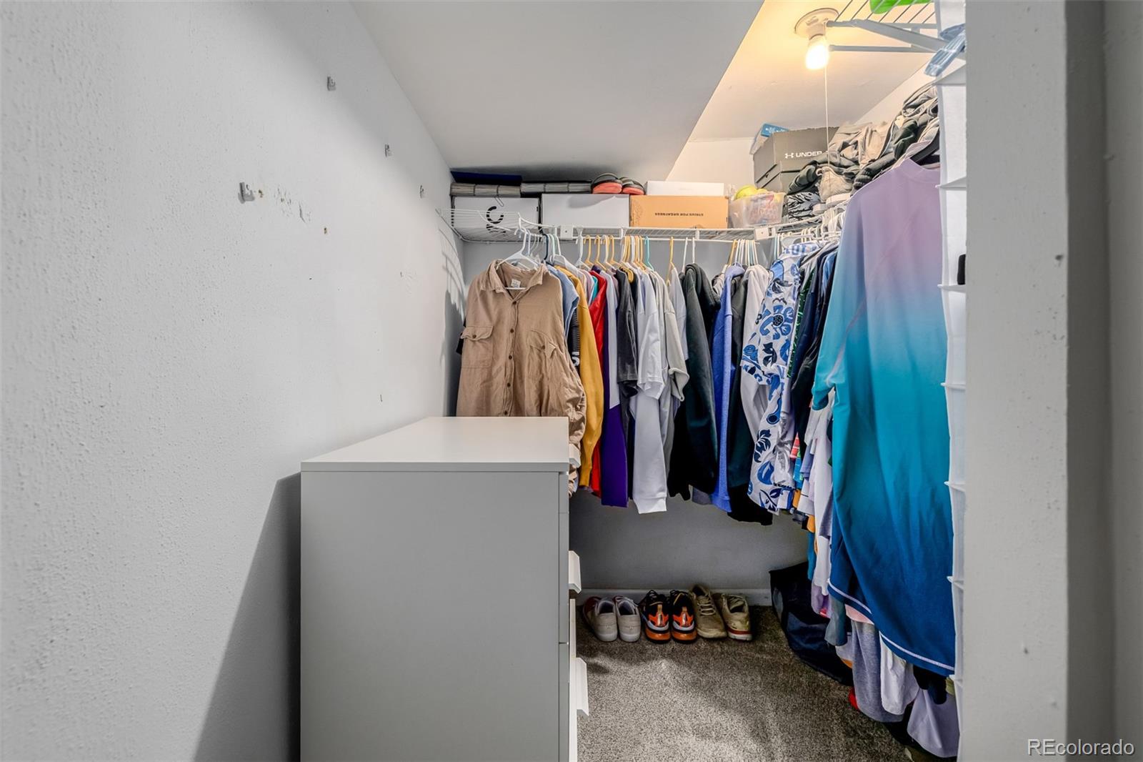 7831 Sangre De Cristo