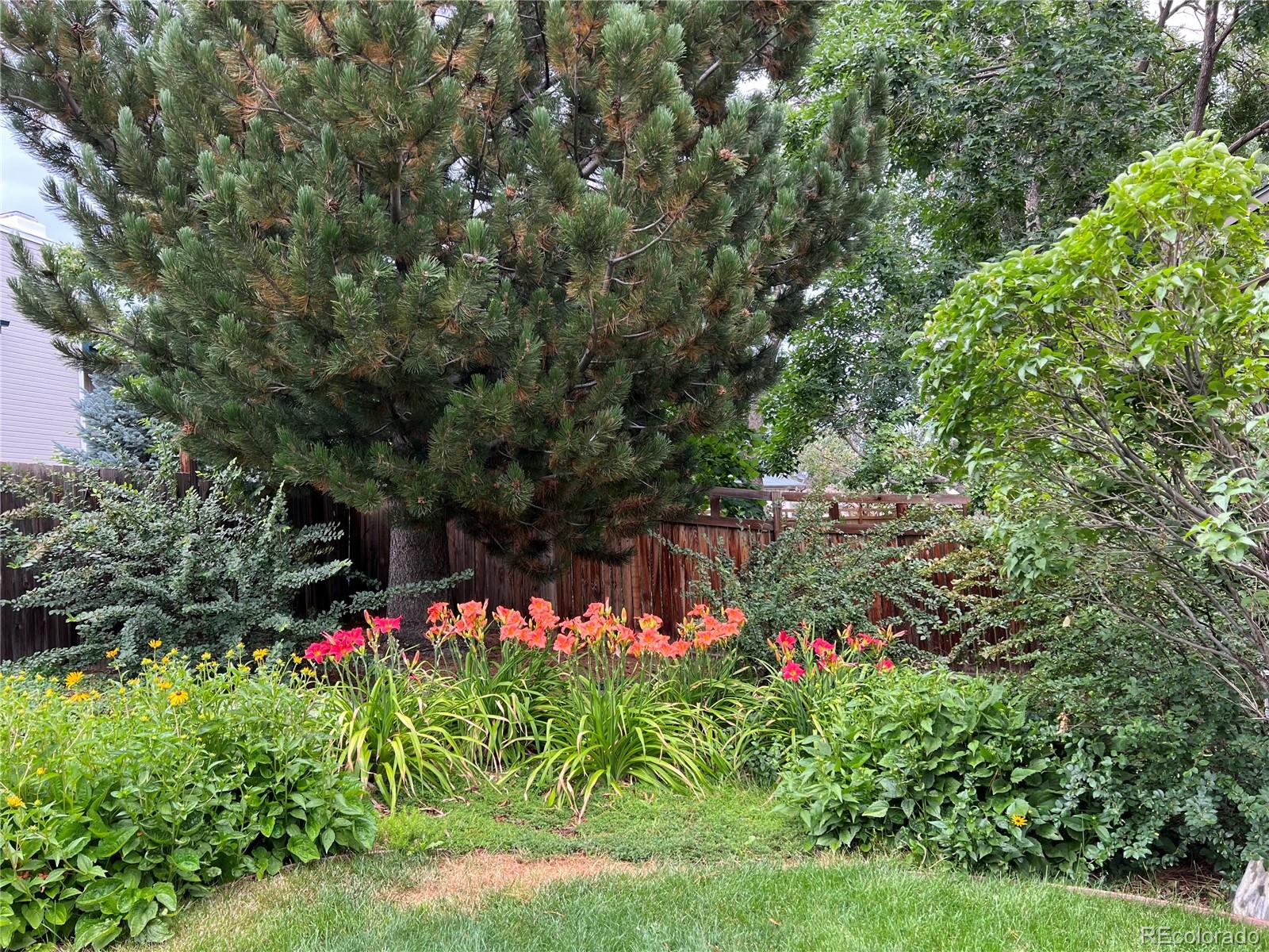 12180 W Little Haystack Mountain