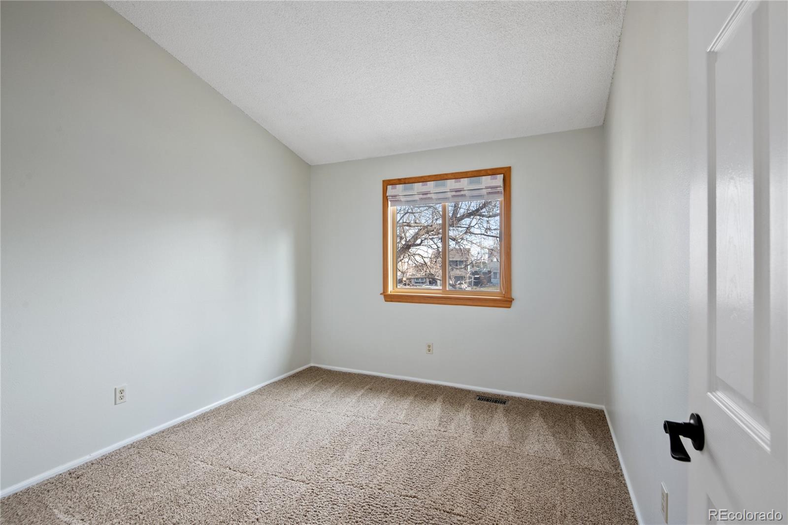 12180 W Little Haystack Mountain