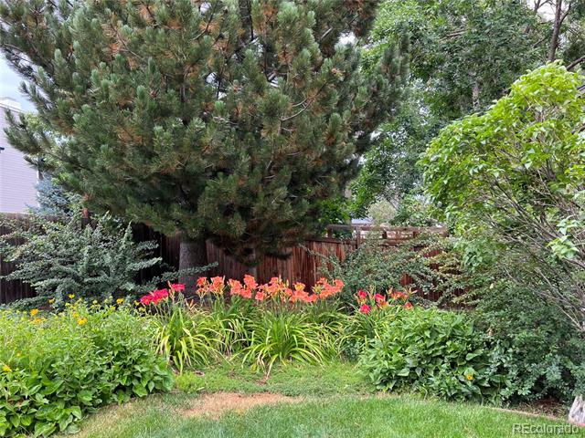 12180 W Little Haystack Mountain