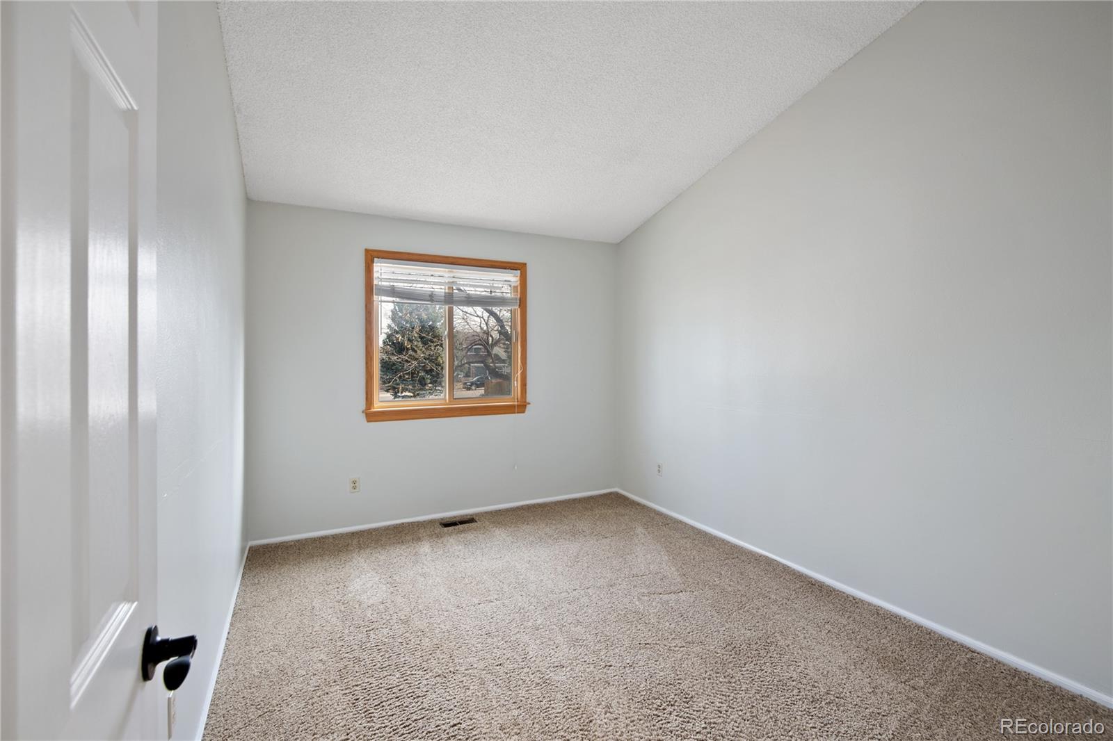 12180 W Little Haystack Mountain