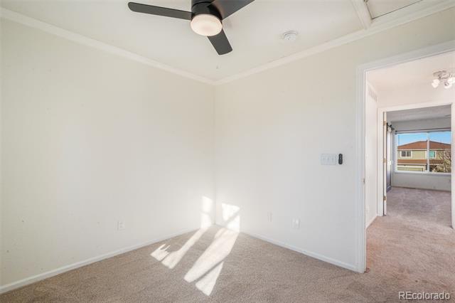 3829 Odessa Street